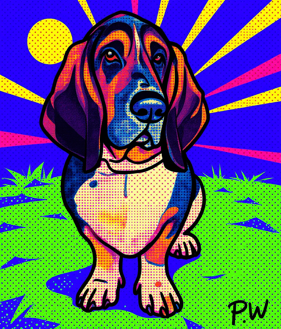 The Sublime Geometry of Belly and Lawn